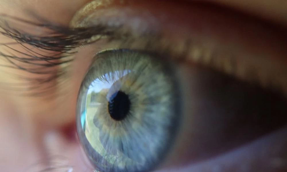 Οφθαλμογενετική: Η επαναστατική μέθοδος για την αποκατάσταση της όρασης